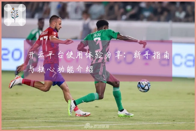开云平台使用体验分享：新手指南与核心功能介绍